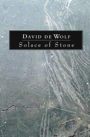 Kniha Solace of Stone David De Wolf