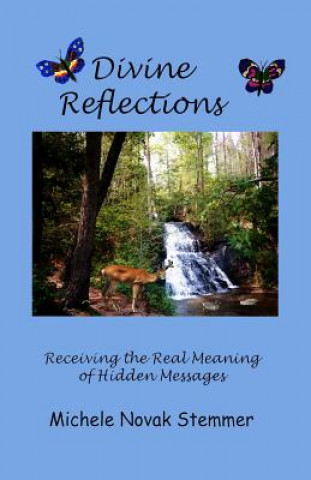 Könyv Divine Reflections: Receiving the Real Meaning of Hidden Messages Michele Novak Stemmer