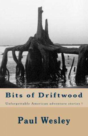 Libro Bits of Driftwood MR Paul Herbert Wesley