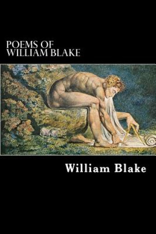 Kniha Poems of William Blake William Blake