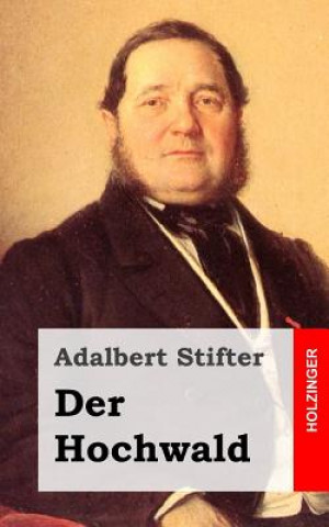 Book Der Hochwald Adalbert Stifter