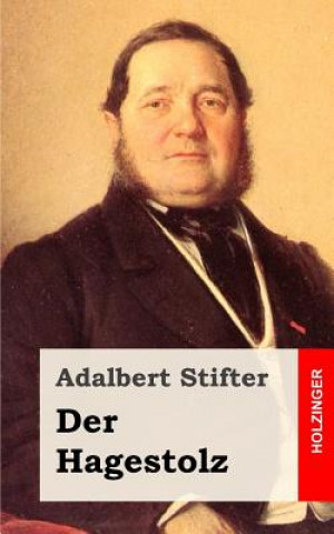 Kniha Der Hagestolz Adalbert Stifter