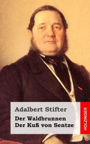 Kniha Der Waldbrunnen / Der Kuß von Sentze Adalbert Stifter