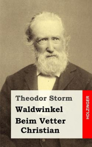 Kniha Waldwinkel / Beim Vetter Christian Theodor Storm