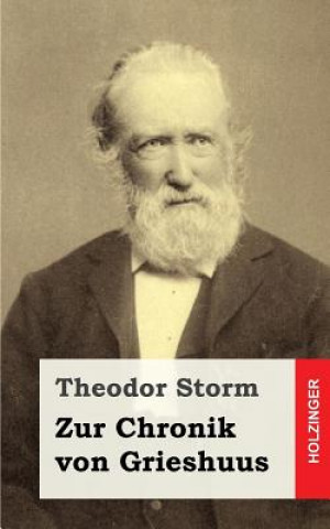 Kniha Zur Chronik von Grieshuus Theodor Storm