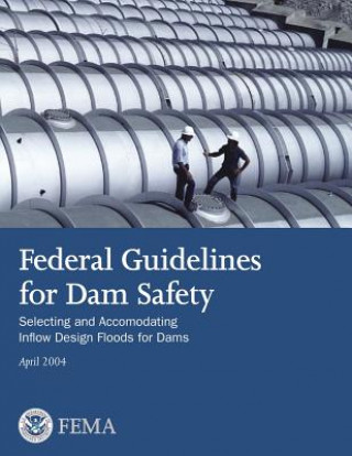 Книга Federal Guidelines for Dam Safety: Selecting and Accommodating Inflow Design Floods for Dams U S Department of Homeland Security