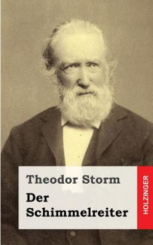 Book Der Schimmelreiter Theodor Storm