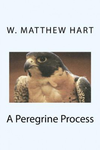 Livro A Peregrine Process W Matthew Hart