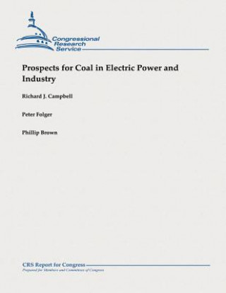 Książka Prospects for Coal in Electric Power and Industry Richard J Campbell