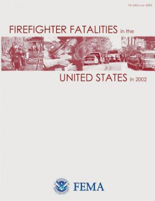 Kniha Firefighter Fatalities in the United States in 2002 U S Department of Homeland Security