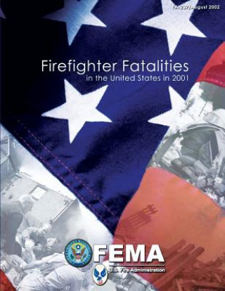 Kniha Firefighter Fatalities in the United States in 2001 U S Department of Homeland Security