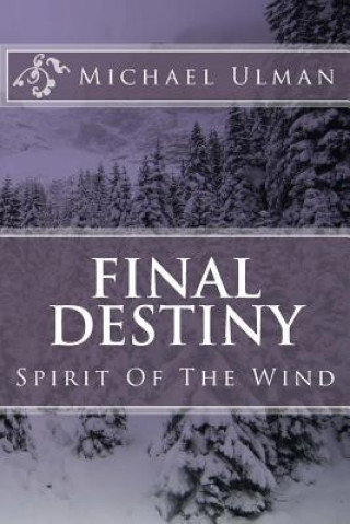 Carte Final Destiny: Spirit Of The Wind Michael G Ulman