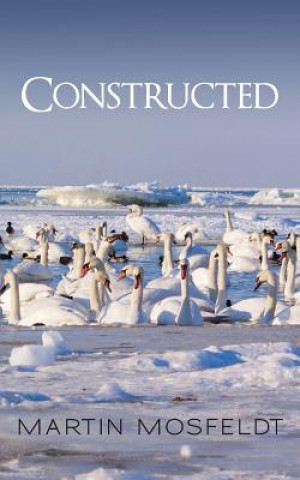 Knjiga Constructed Martin Mosfeldt