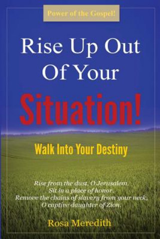 Buch Rise Up Out Of Your Situation!: Walk Into Your Destiny Mrs Rosa Meredith