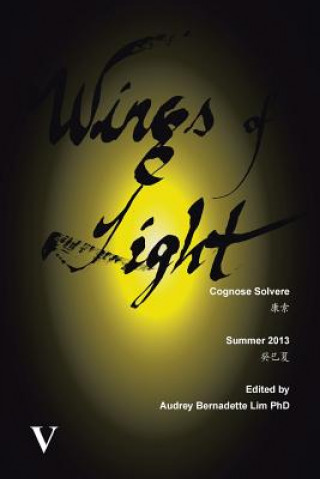 Book Wings of Light Cognose Solvere