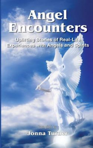 Buch Angel Encounters Jonna Turner