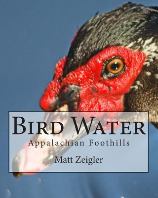 Carte Bird Water: Appalachian Foothills Matt Zeigler