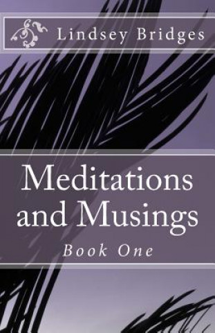 Kniha Meditations and Musings: Book One Lindsey Bridges