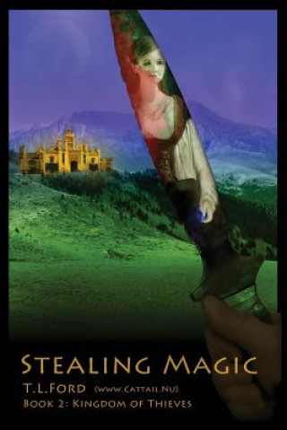 Knjiga Stealing Magic Theresa Lynn Ford