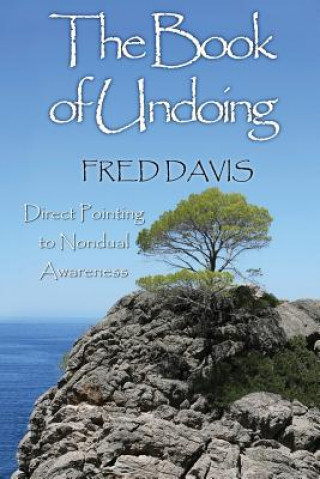 Kniha The Book of Undoing: Direct Pointing to Nondual Awareness Fred Davis