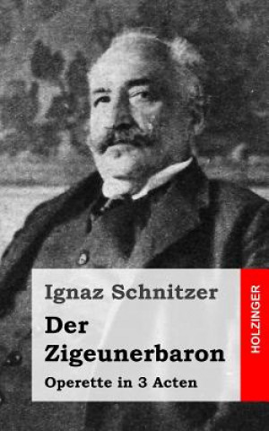 Kniha Der Zigeunerbaron: Operette in 3 Acten Ignaz Schnitzer