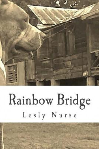 Βιβλίο Rainbow Bridge Lesly Nurse