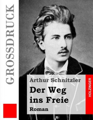 Kniha Der Weg ins Freie (Großdruck): Roman Arthur Schnitzler