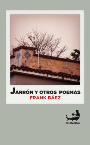 Carte Jarrón y otros poemas Frank Baez