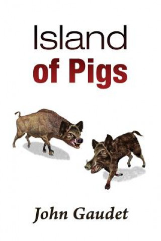 Carte Island of Pigs John Gaudet