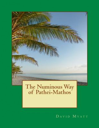 Carte The Numinous Way of Pathei-Mathos David Myatt