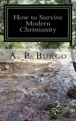 Könyv How to Survive Modern Christianity A P Burgo