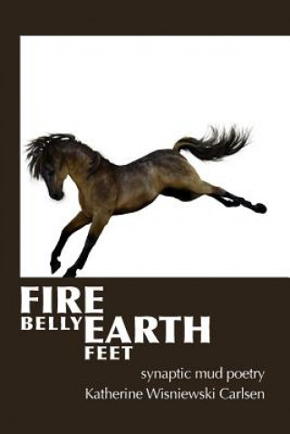 Kniha Fire Belly Earth Feet: synaptic mud poetry Katherine Wisniewski Carlsen