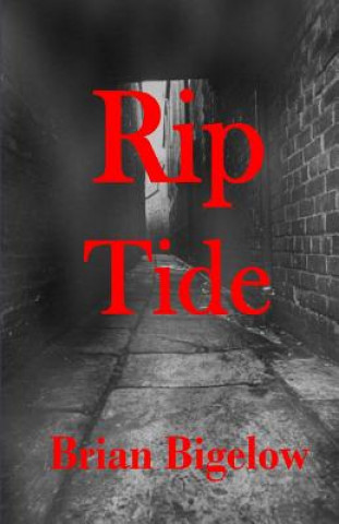 Book Rip Tide Brian Bigelow