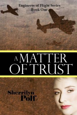 Kniha A Matter Of Trust Sherrilyn Polf