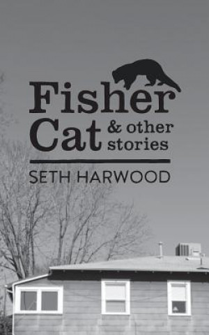 Książka Fisher Cat and Other Stories MR Seth J Harwood