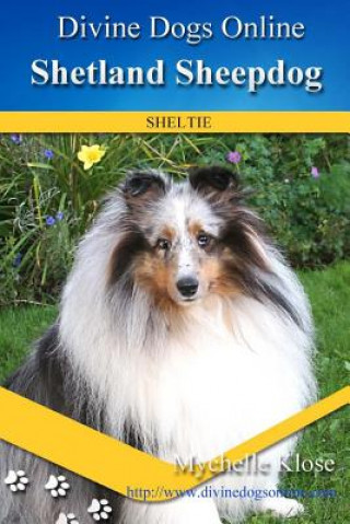 Kniha Shetland Sheepdogs: Divine Dogs Online Mychelle Klose