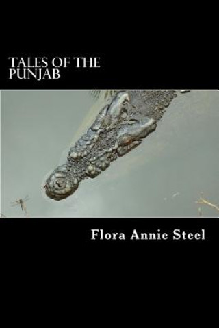 Libro Tales of the Punjab: Folklore of India Flora Annie Steel