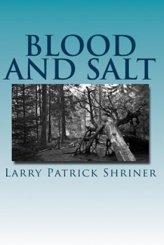 Buch Blood and Salt: A Samuel Landers Novel Larry Patrick Shriner
