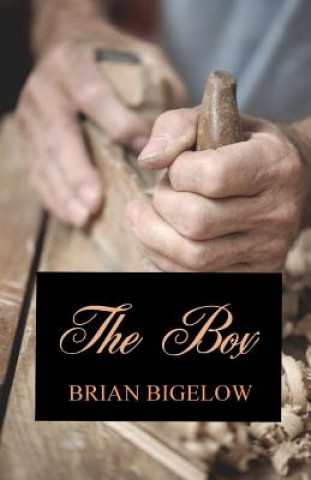 Buch The Box Brian Bigelow
