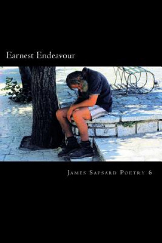 Book Earnest Endeavour James Sapsard