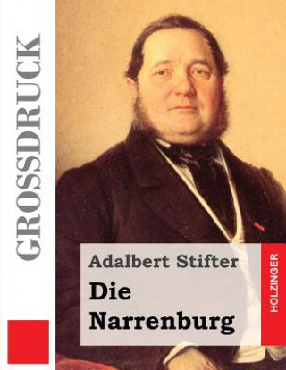 Libro Die Narrenburg (Großdruck) Adalbert Stifter