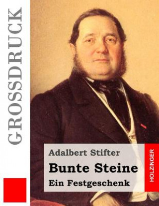 Książka Bunte Steine (Großdruck) Adalbert Stifter