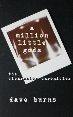 Книга A million little gods: the clearwater chronicles Dave Burns