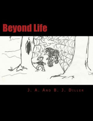 Book Beyond Life J a Diller