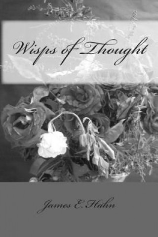 Boek Wisps of Thought James E Hahn