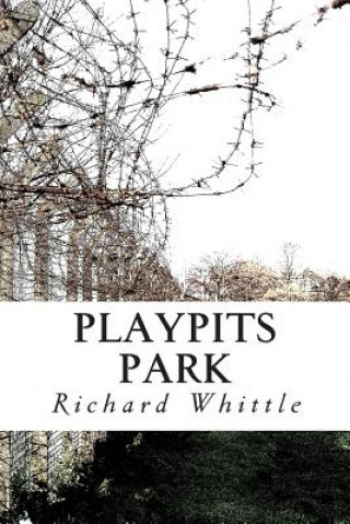 Könyv Playpits Park Richard Whittle