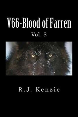 Book V66-Blood of Farren: Vol. 3 Domino