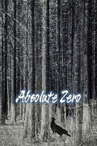 Book Absolute Zero Keaton Foster