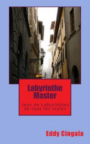 Kniha Labyrinthe Master: Jeux de Labyrinthes de Tous Les Styles M Eddy Cingala