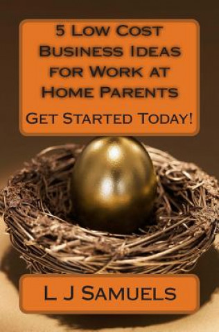 Buch 5 Low Cost Business Ideas for Work at Home Parents L J Samuels